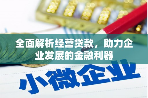 博乐全面解析经营贷款，助力企业发展的金融利器