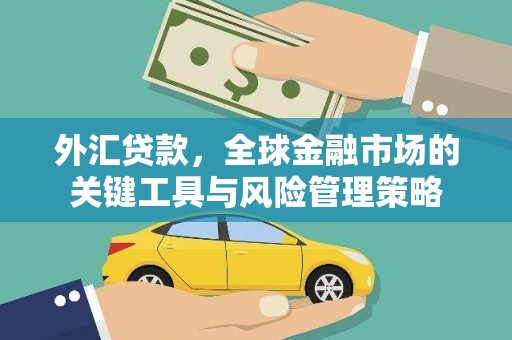博乐外汇贷款，全球金融市场的关键工具与风险管理策略