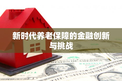 博乐新时代养老保障的金融创新与挑战