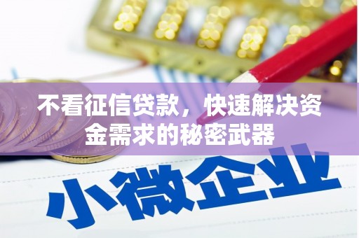 博乐不看征信贷款，快速解决资金需求的秘密武器