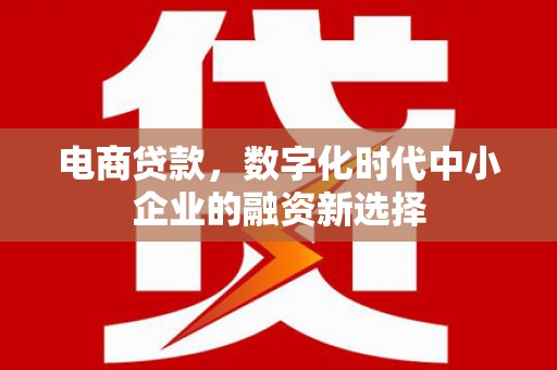 博乐电商贷款，数字化时代中小企业的融资新选择