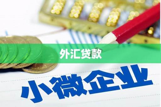 博乐外汇贷款