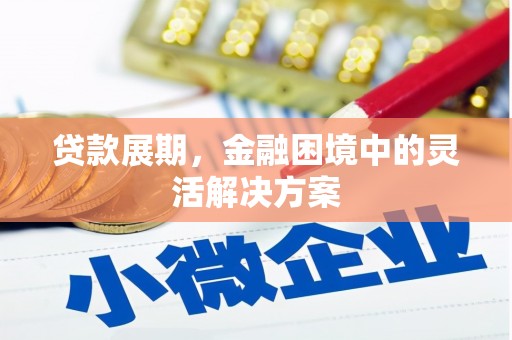 博乐贷款展期，金融困境中的灵活解决方案