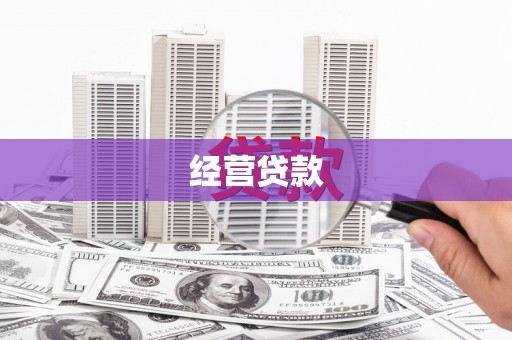博乐经营贷款