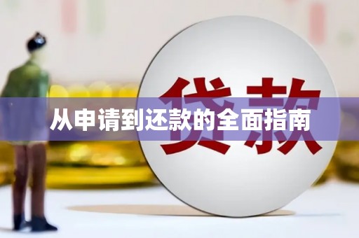 博乐从申请到还款的全面指南