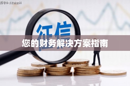博乐您的财务解决方案指南
