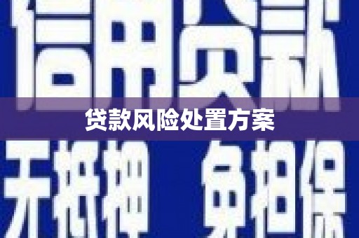 博乐贷款风险处置方案