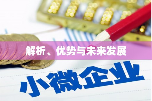 博乐解析、优势与未来发展