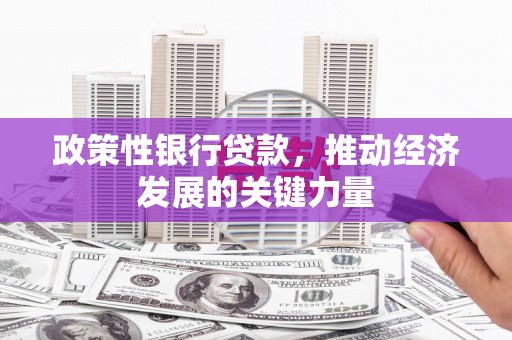 博乐政策性银行贷款，推动经济发展的关键力量