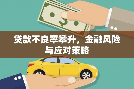 博乐贷款不良率攀升，金融风险与应对策略