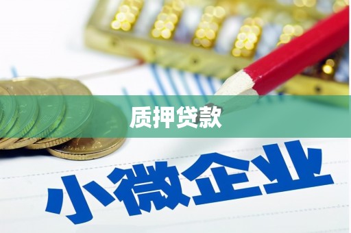 博乐质押贷款