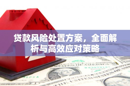 博乐贷款风险处置方案，全面解析与高效应对策略
