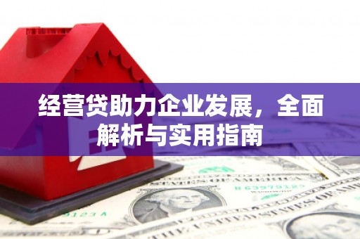 博乐经营贷助力企业发展，全面解析与实用指南