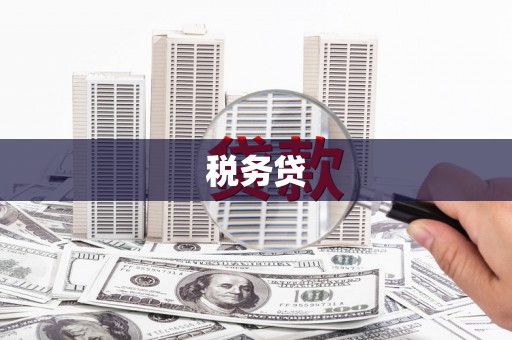 博乐税务贷