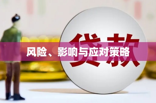 博乐风险、影响与应对策略