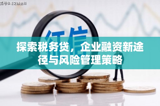 博乐探索税务贷，企业融资新途径与风险管理策略