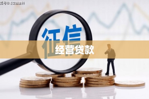 博乐经营贷款