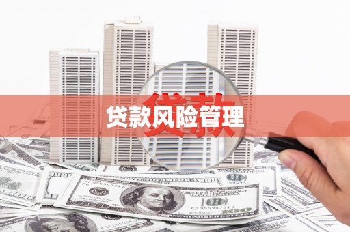 博乐贷款风险管理