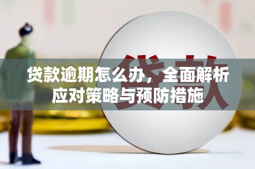 博乐贷款逾期怎么办，全面解析应对策略与预防措施