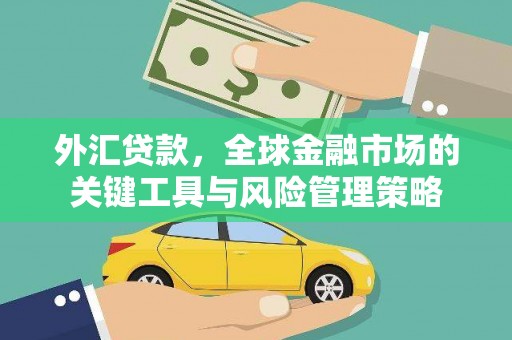 博乐外汇贷款，全球金融市场的关键工具与风险管理策略
