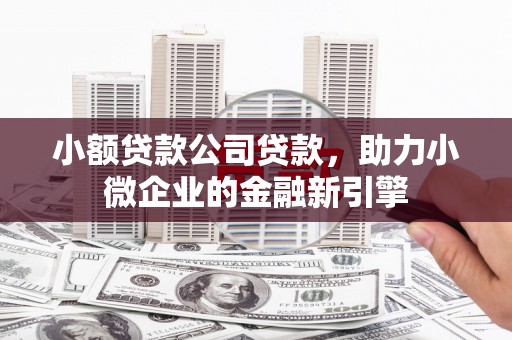 博乐小额贷款公司贷款，助力小微企业的金融新引擎