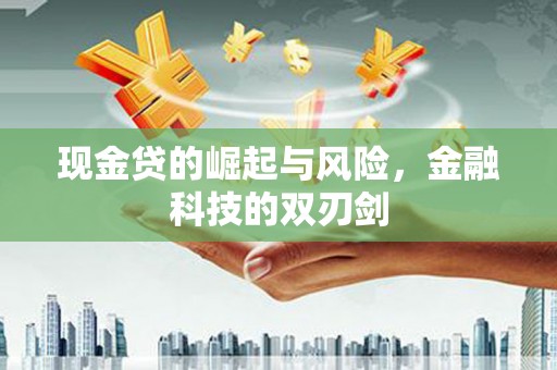 博乐现金贷的崛起与风险，金融科技的双刃剑