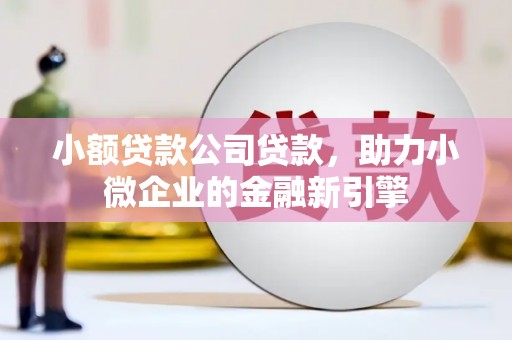 博乐小额贷款公司贷款，助力小微企业的金融新引擎