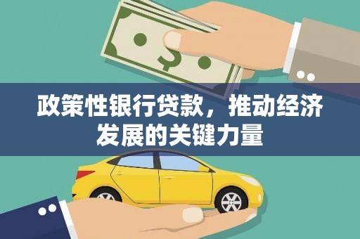 博乐政策性银行贷款，推动经济发展的关键力量