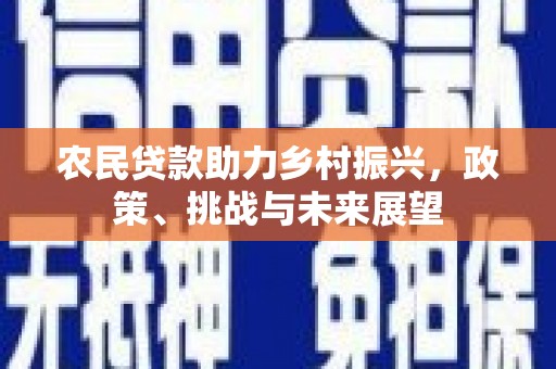 博乐农民贷款助力乡村振兴，政策、挑战与未来展望