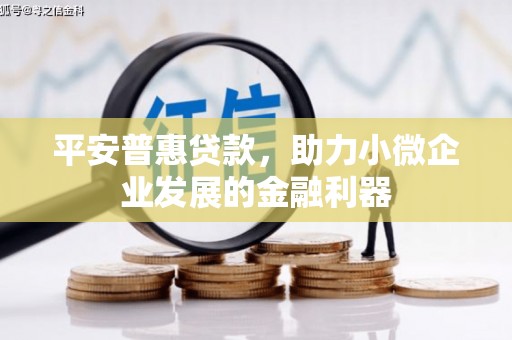 博乐平安普惠贷款，助力小微企业发展的金融利器
