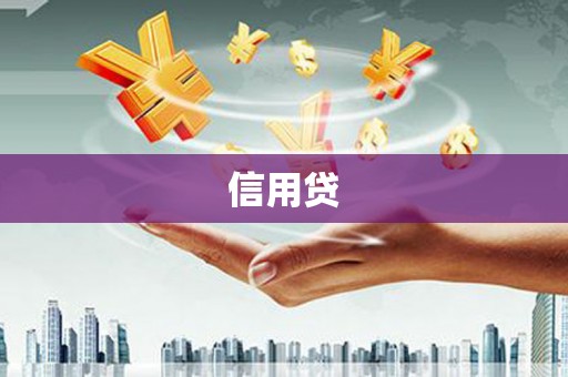 博乐信用贷