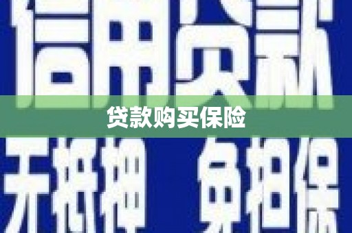 博乐贷款购买保险