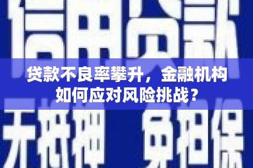 博乐贷款不良率攀升，金融机构如何应对风险挑战？