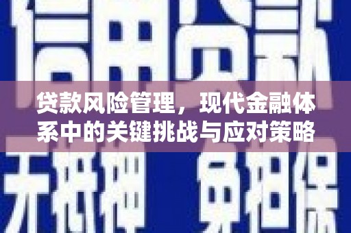博乐贷款风险管理，现代金融体系中的关键挑战与应对策略
