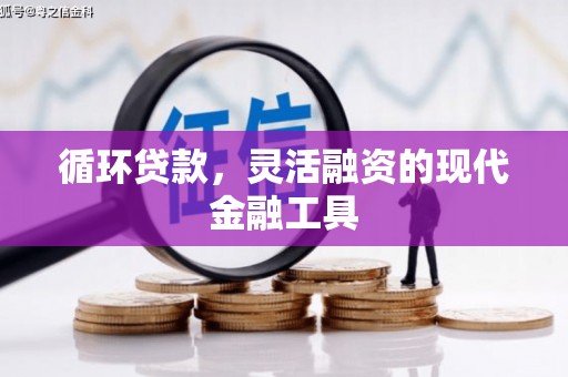 博乐循环贷款，灵活融资的现代金融工具