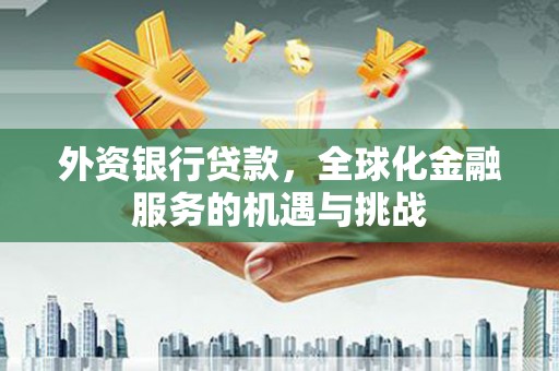 博乐外资银行贷款，全球化金融服务的机遇与挑战