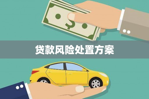 博乐贷款风险处置方案