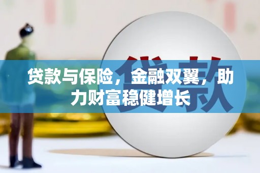 博乐贷款与保险，金融双翼，助力财富稳健增长