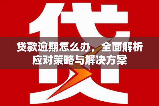 博乐贷款逾期怎么办，全面解析应对策略与解决方案