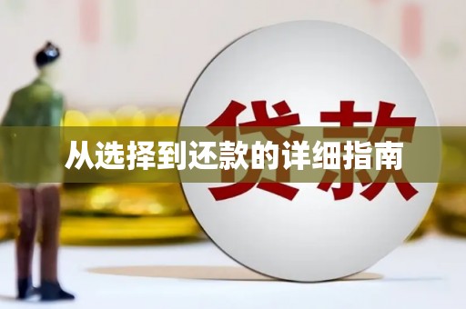 博乐从选择到还款的详细指南