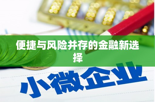 博乐便捷与风险并存的金融新选择