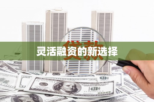 博乐灵活融资的新选择