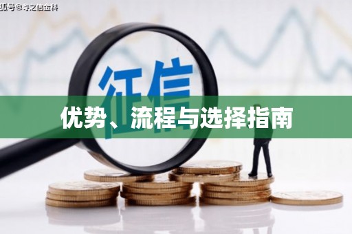 博乐优势、流程与选择指南