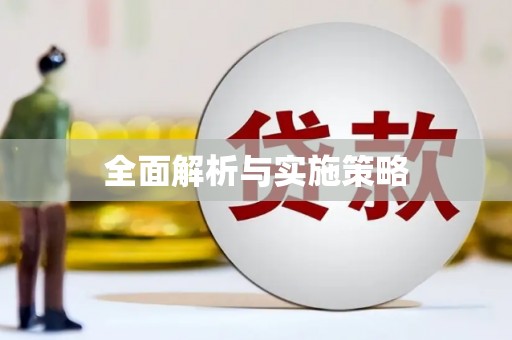 博乐全面解析与实施策略