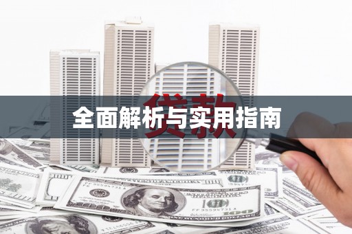 博乐全面解析与实用指南